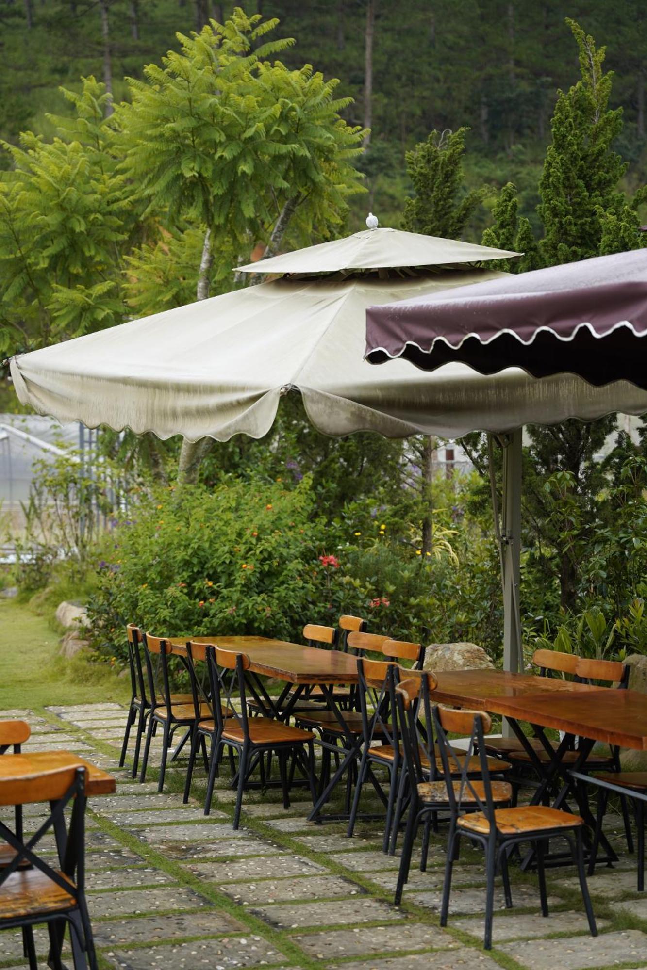 Greeneco Da Lat Hotel - Khach San Green Eco ดาลัด ภายนอก รูปภาพ