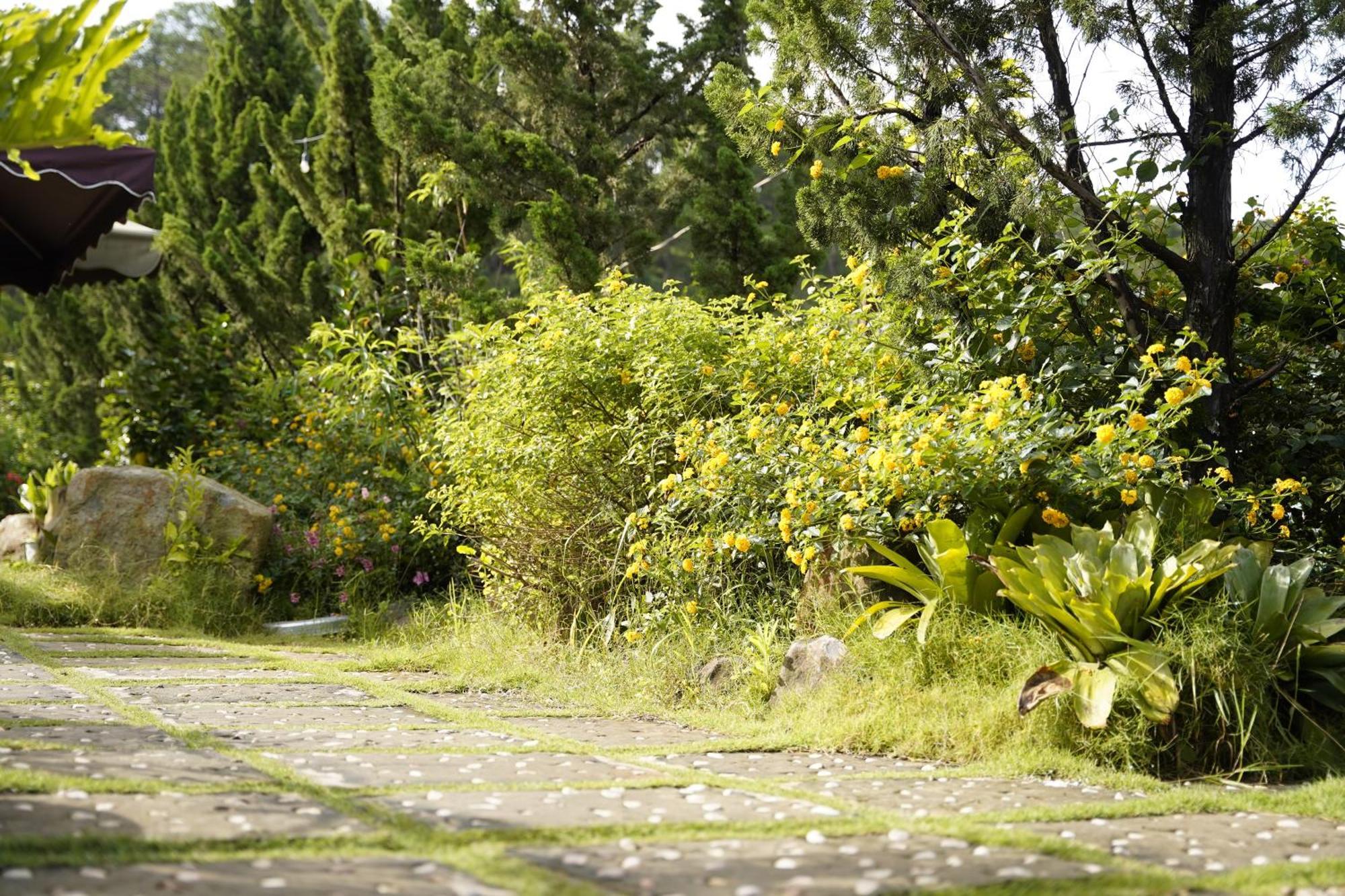 Greeneco Da Lat Hotel - Khach San Green Eco ดาลัด ภายนอก รูปภาพ